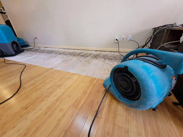 Professional Water Removal technician working in Glencoe, OH